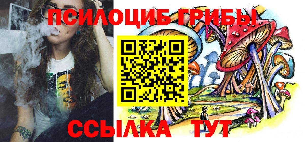 Псилоцибиновые грибы Psilocybe Ржев