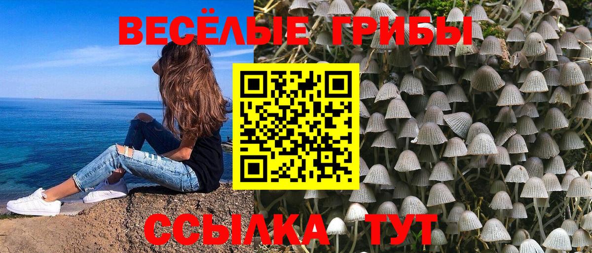 Ржев  Псилоцибиновые грибы Cubensis  Галлюциногенные грибы мухоморы  как найти закладки  Вход с VPN 